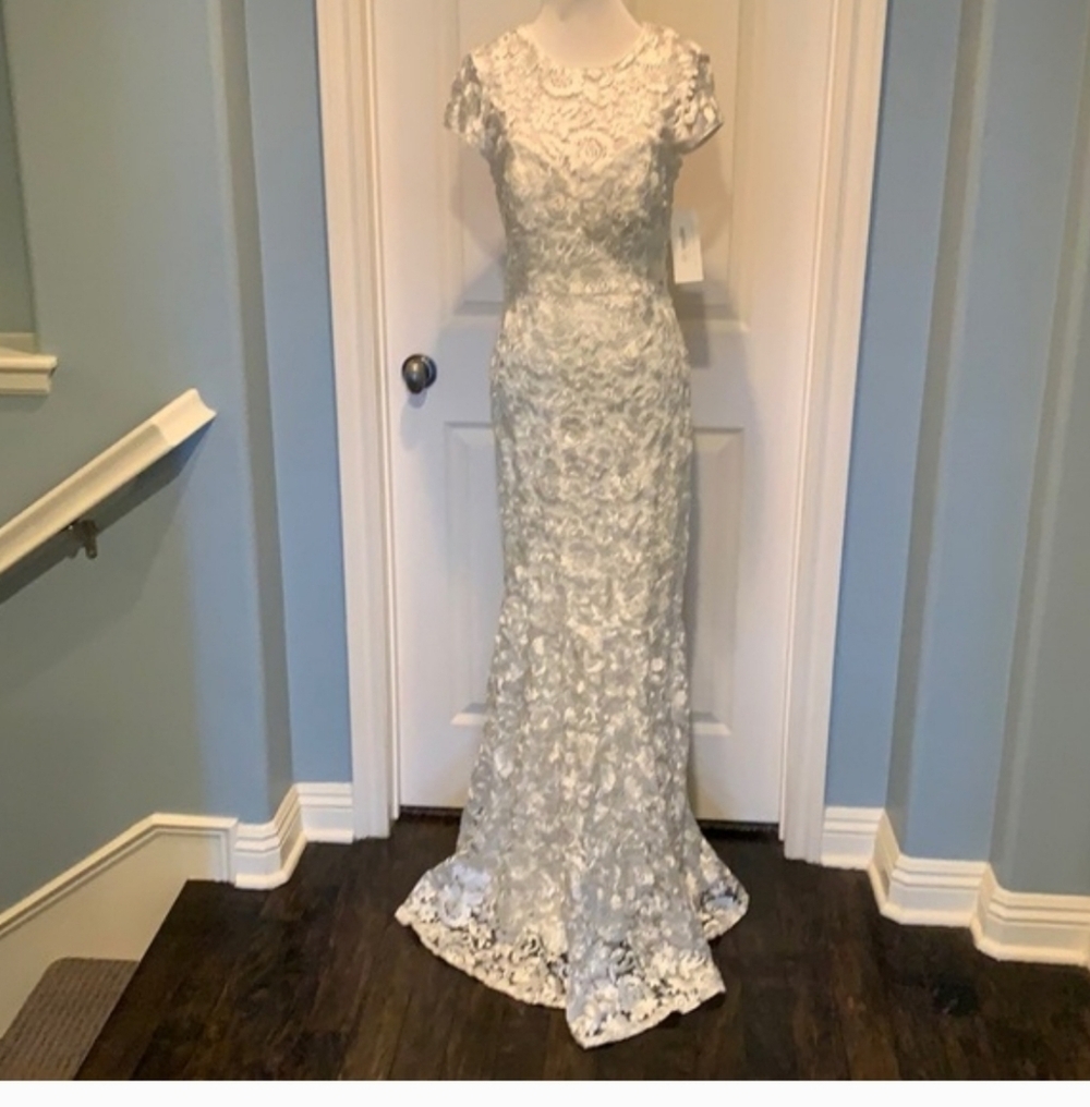 Elegant Lace Gown in Ivory - Picture 3 of 11